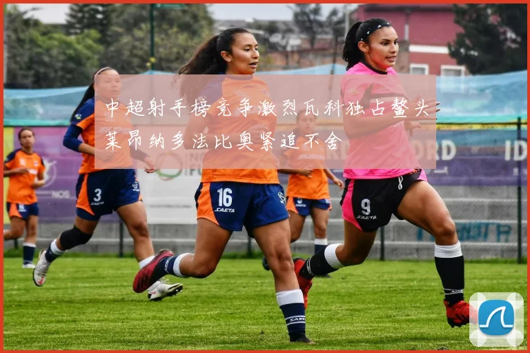 中超射手榜竞争激烈瓦科独占鳌头莱昂纳多法比奥紧追不舍