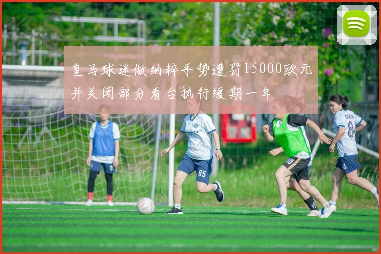 皇马球迷做纳粹手势遭罚15000欧元并关闭部分看台执行缓期一年