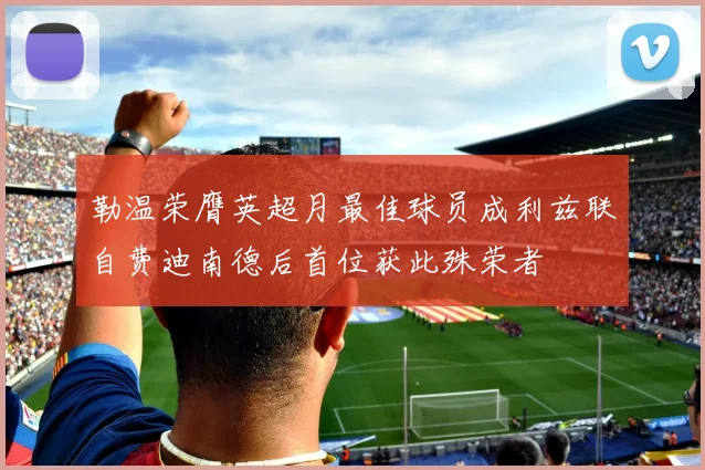 勒温荣膺英超月最佳球员成利兹联自费迪南德后首位获此殊荣者