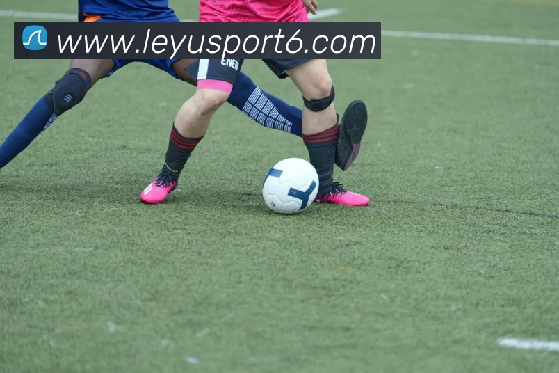 App Interface Preview