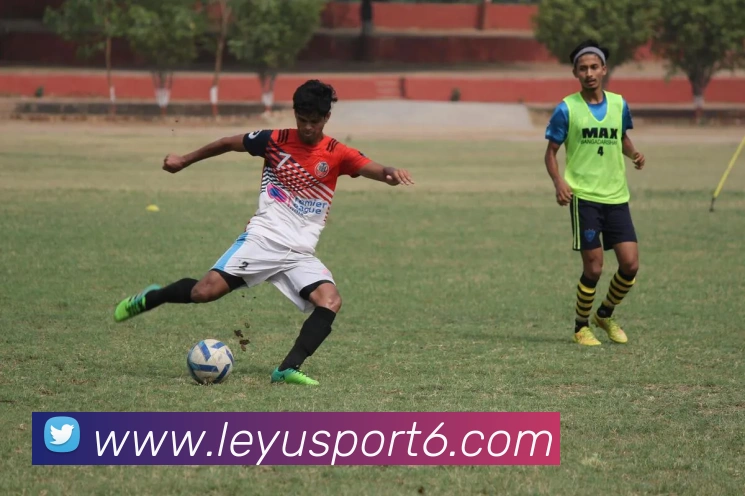 乐鱼体育APP 封面图