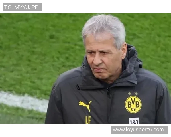 哈曼称多特蒙德中场选择丰富上场球员均能发挥重要作用 哈曼称多特蒙德中场选择丰富上场球员均能发挥重要作用