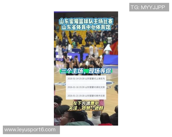 山东蜜獾新赛季注册名单正式公布双主场模式引发期待与关注